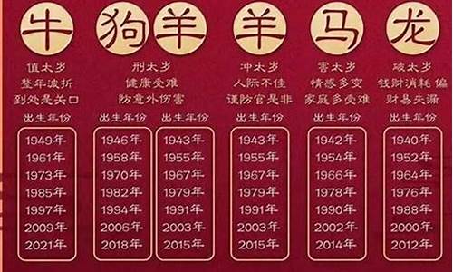 12生肖2024年运势_属相运势2024年运程表格大全及解析